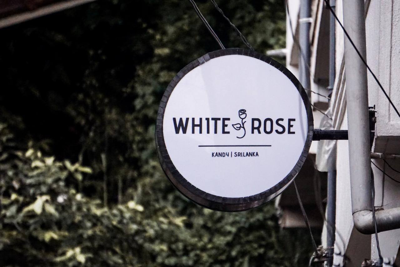 White Rose Hostel Kandy Exteriör bild